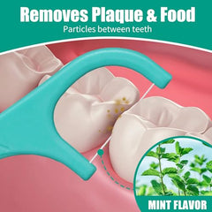 Alosalut Dental Floss Picks - Mint Flavored Flossers with Built-in Toothpick for Deep Cleaning - Str - 480 Count