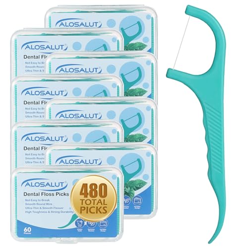 480 Count Dental Floss Picks - Mint Flavored with Built-in Toothpick