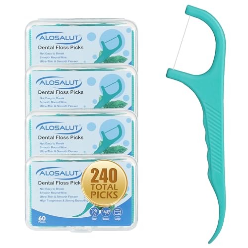240 Count Dental Floss Picks - Mint Flavored with Built-in Toothpick