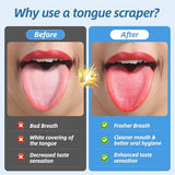 6 Pack U-Shaped Tongue Scrapers - Medical Grade Stainless Steel